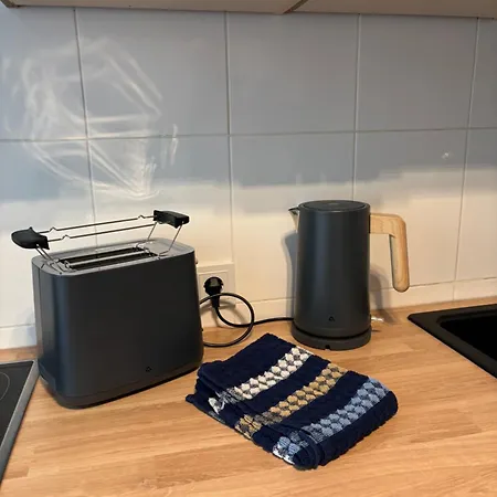 Renchtal Apartment, Nahe Strassburg, Europapark Und Schwarzwald *